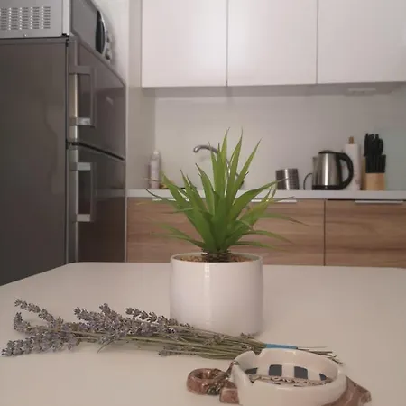 Oaza Mira Mobile - Camp Basko Polje #bestoffer キャンプ場 *