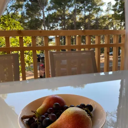 Oaza Mira Mobile - Camp Basko Polje #bestoffer キャンプ場 *