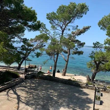 Oaza Mira Mobile - Camp Basko Polje #bestoffer Baška Voda