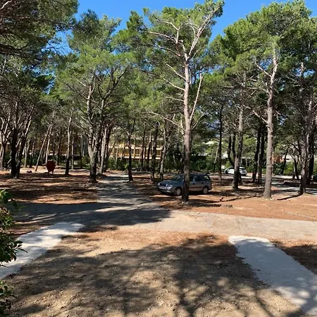 Oaza Mira Mobile - Camp Basko Polje #bestoffer キャンプ場